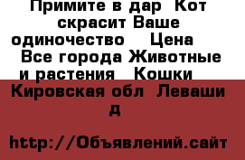 Примите в дар. Кот скрасит Ваше одиночество. › Цена ­ 0 - Все города Животные и растения » Кошки   . Кировская обл.,Леваши д.